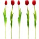 18. BOUQUET OF 5 RED TULIPS 39 CM LIKE LIFE SPRING DECORATION