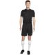 6. Nike Dri-FIT Academy M DV9742 010 Shorts