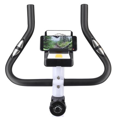 9. One Fitness RM8740 White Magnetic Bike
