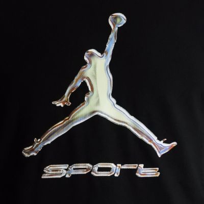 6. Air Jordan Sport Men's Dri-FIT T-Shirt Black - HQ7984-010