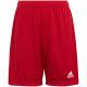 10. adidas Entrada 22 Jr H57501 Shorts