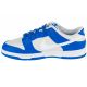 2. Nike Dunk Low M FN3416-001 shoes