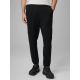 3. Men's jogger sweatpants 4F 4FRAW25TTROM1691-20S