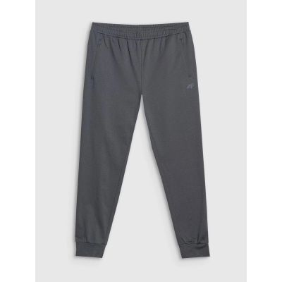 6. Men's quick-drying training pants 4F 4FWMM00TFTRM1067-22M