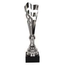 Triumph Cup