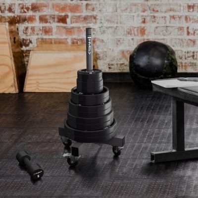 10. TPC25 OLYMPIC POLYURETHANE PLATE CPU 25 KG HMS