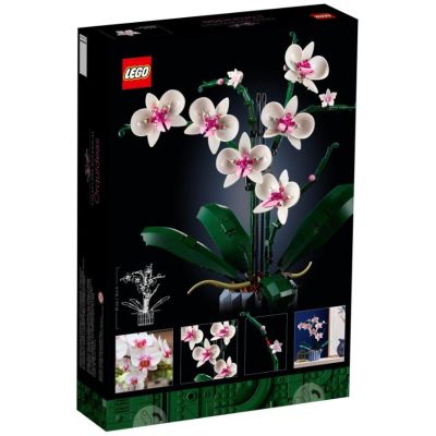 2. LEGO Icons 10311 - Orchid