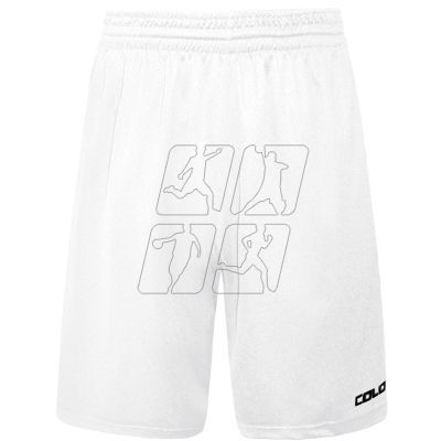 2. Colo Spring 05 Basketball Shorts