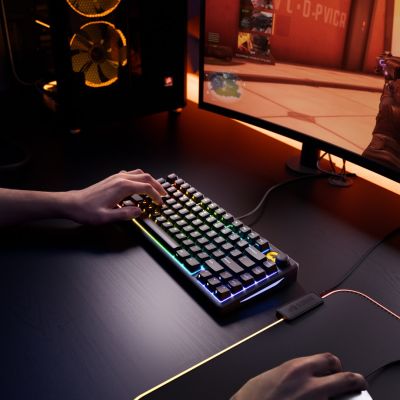 9. Glorious Gaming GMBK 75% USB QWERTY US English Keyboard Black