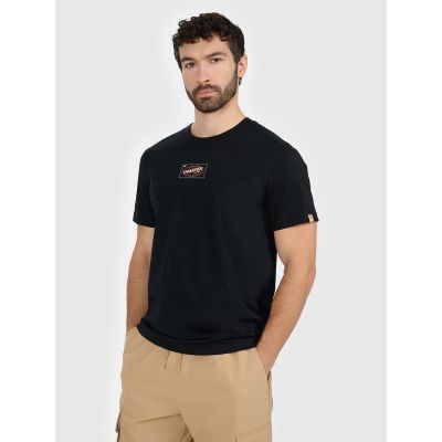 Men's regular printed T-shirt 4F 4FRAW25TTSHM3377-20S