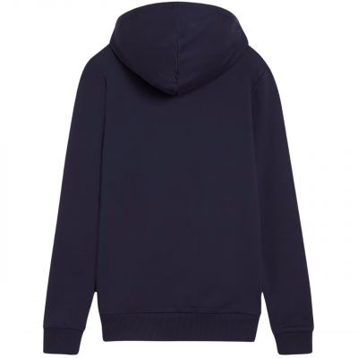 2. Puma Team Goal Casuals Hoody W 658621 06