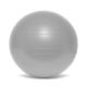65 cm exercise ball + pump