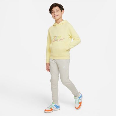 4. Nike Sportswear Jr DX5087-706 sweatshirt