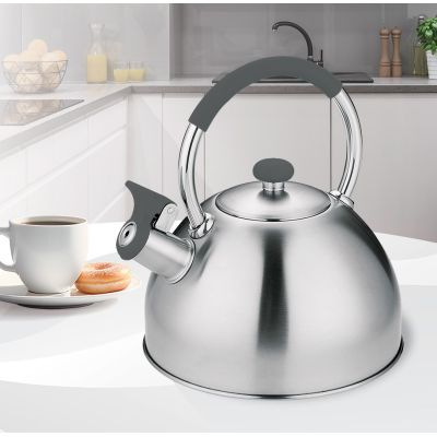 2. MAESTRO MR-1323 non-electric kettle