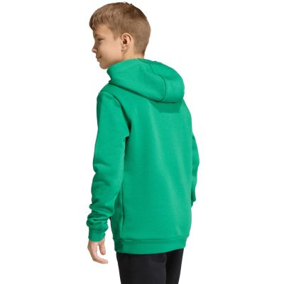 5. Adidas Entrada 26 Hoody green JZ6563 kids' sweatshirt