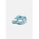 2. Nike Dunk Low Retro M DV0833-106 shoes 