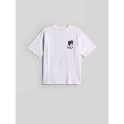 5. Boy's regular printed T-shirt 4F 4FJKAW26TTSHM4457-10S