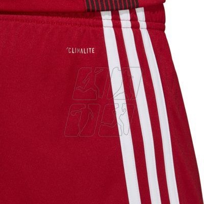 2. Adidas Tastigo 19 Shorts M DP3681 shorts