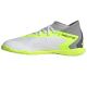2. Adidas Predator Accuracy.3 IN Jr IE9449 soccer shoes