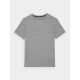 6. Men's quick-drying regular training T-shirt 4F 4FWAW24TFTSM1003-25M