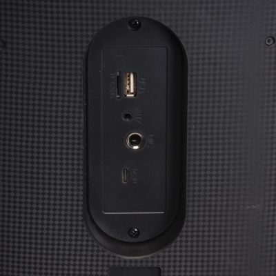 6. BT Denver BPS-354 column, max power 200W