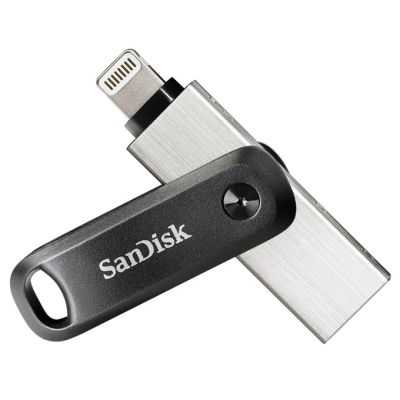 7. SanDisk iXpand GO SDIX60N-256G-GN6NE pendrive (256GB; Lightning, USB 3.0; silver color)