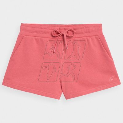 Shorts 4F W 4FSS23TSHOF175 63S