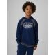Boys' Loose-Fit Hooded Sweatshirt 4F 4FJRAW26TSWSM3193-31S