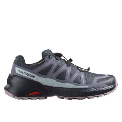 Salomon SPEEDCROSS PEAK GTX W Shoes Gray (L47790700)