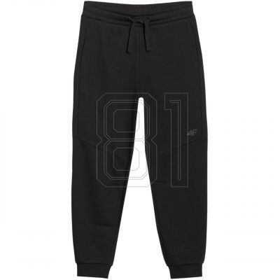 5. Trousers 4F CAS M1103 Jr 4FJWSS25TTROM1103 20S