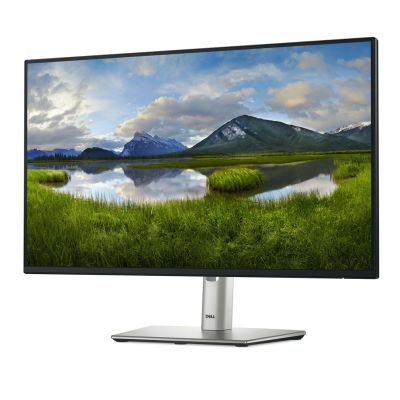 10. DELL LED 24" P2425H MONITOR
