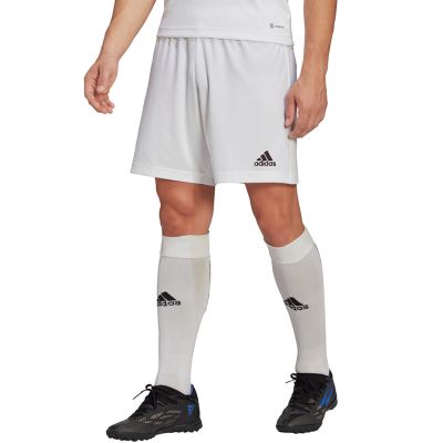 8. adidas Entrada 22 M HG6295 shorts