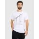 Men's regular printed T-shirt 4F 4FRAW25TTSHM3845-10S
