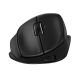 9. HP Tilt Ergonomic Black Mouse 720M Wireless / Bluetooth wireless black BH0Z4AA