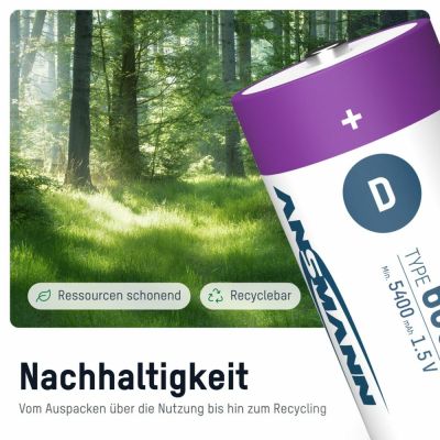 11. Ansmann 1314-0005 household battery Rechargeable battery D Lithium-Ion (Li-Ion)