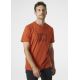4. Helly Hansen Box TM T-shirt 53285 179