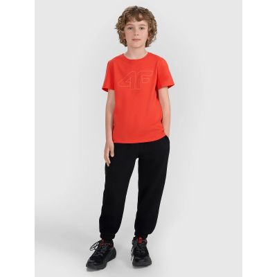3. Boy's regular printed T-shirt 4F 4FJRAW25TTSHM3261-62S