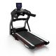 18. BOWFLEX T25 100911 Electric Treadmill