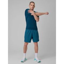 Men's quick-drying training shorts 4F 4FRSS26TFSHM1660-30S