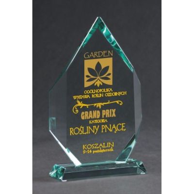 3. Engraved glass trophy with case + paint filling