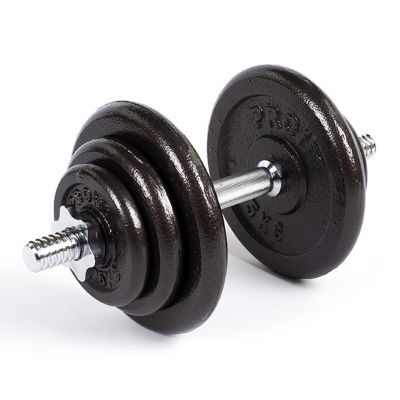 14. Profit cast iron dumbbells 10kg DK 4126