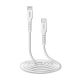 2. SBS TECABLELIGTC2W USB-C - Lightning Cable 2 m - White