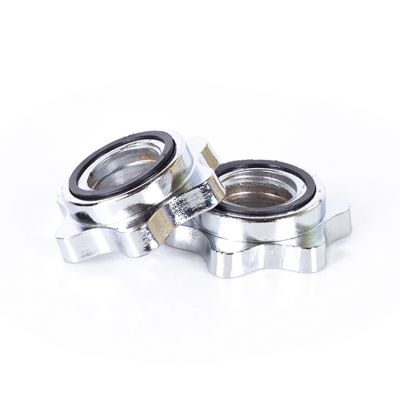 6. Profit cast iron dumbbells 10kg DK 4126