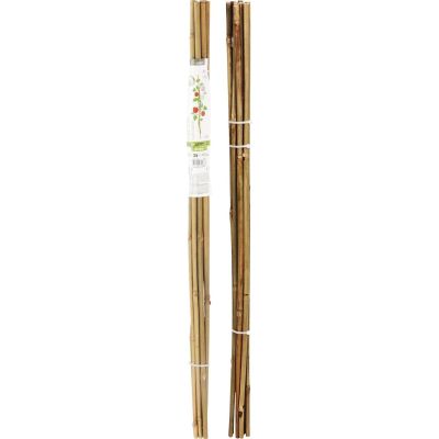 13. PROGARDEN BAMBOO PLANT SUPPORT 78 CM 10 PCS