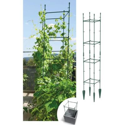 14. FLOO SUPPORTS PLANT SUPPORT 21x21x120CM FOREST GREEN