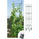 14. FLOO SUPPORTS PLANT SUPPORT 21x21x120CM FOREST GREEN