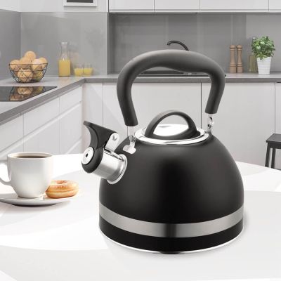 2. Kettle 1.8L MR-1336-BLACK MAESTRO