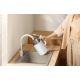7. Xiaomi Electric Kettle 2 Lite