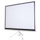 Silelis ET-1 100" projection screen (180x180 cm, 1:1), automatically rolled, three-legged tripod/stand