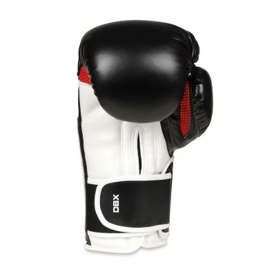11. 10oz Boxing Gloves - Phantom White - Valor Series